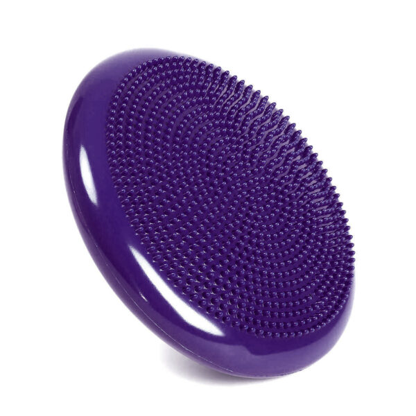 Disco de balance / propiocepcion - Violeta